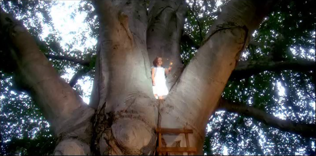 First Niagara - You Believe